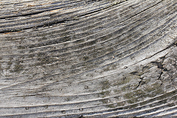 Image showing Old Wood Texture