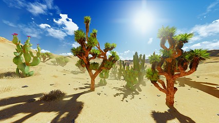 Image showing Joshua trees