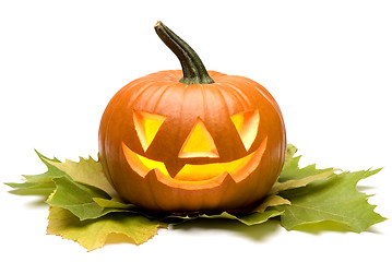 Image showing pumpkin