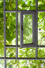 Image showing window to the summer