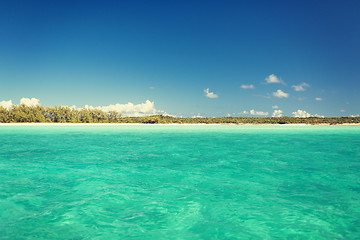 Image showing blue sea or ocean, beach and forest