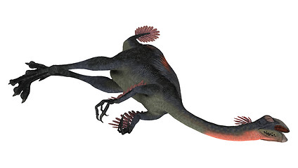 Image showing Dead Dinosaur Gigantoraptor