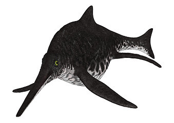 Image showing Ichthyosaur Shonisaurus