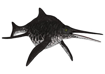 Image showing Ichthyosaur Shonisaurus