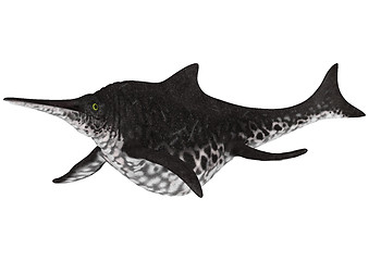 Image showing Ichthyosaur Shonisaurus