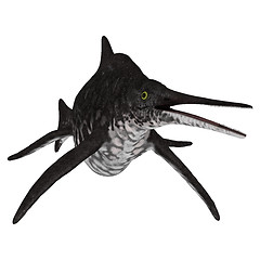 Image showing Ichthyosaur Shonisaurus