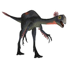 Image showing Dinosaur Gigantoraptor