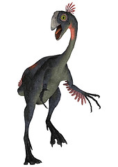 Image showing Dinosaur Gigantoraptor