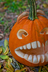 Image showing Halloween pumpkin