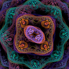 Image showing Symmetrical growth of bacteria