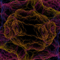 Image showing Symmetrical growth of bacteria