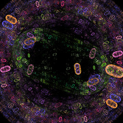 Image showing Symmetrical growth of bacteria