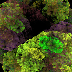 Image showing Symmetrical growth of bacteria