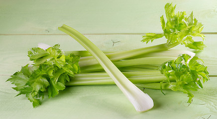 Image showing Celery