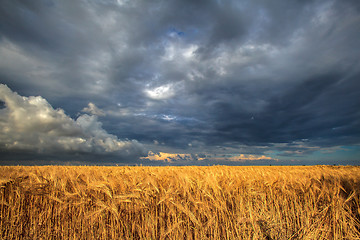 Image showing summer storm