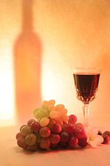 Image showing Wine, fruits macadamia