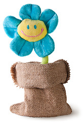 Image showing Plush flower in sack