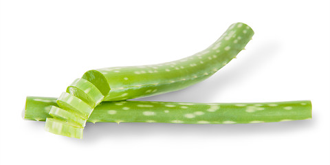 Image showing Chopped Stalks Of Aloe