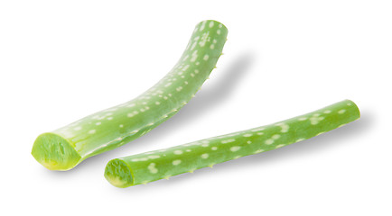 Image showing Stalks Of Aloe