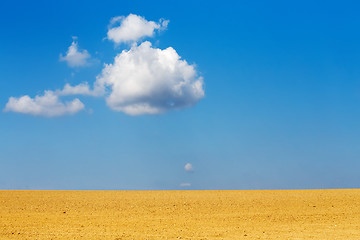 Image showing Nice autumn field with white cloud, horizont and blue sky