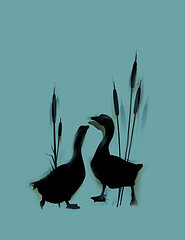 Image showing Goose couple love card