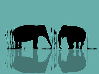 Image showing Elephants playing in the water