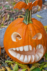 Image showing Halloween pumpkin