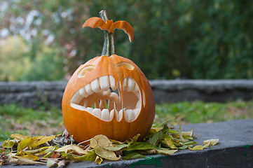 Image showing Halloween pumpkin