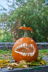 Image showing Halloween pumpkin