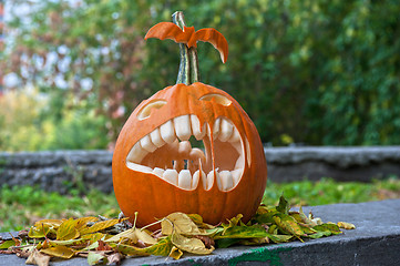 Image showing Halloween pumpkin