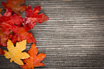 Image showing foliage, autumn leaves