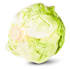 Image showing Green Fresh Cabbage Rotated