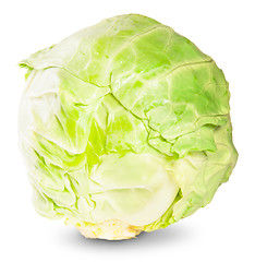 Image showing Green Fresh Cabbage