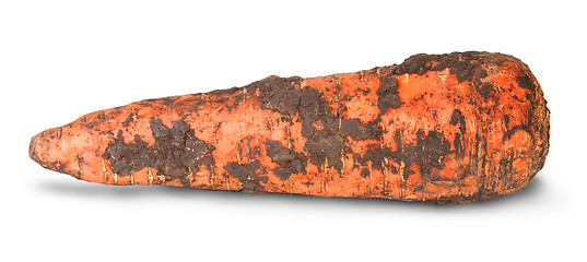 Image showing Single Dirty Carrot