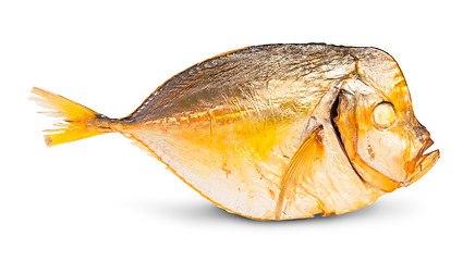 Image showing Single Smoked Moonfish