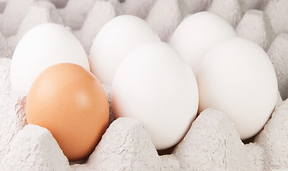 Image showing Five White And One Brown Eggs On Tray
