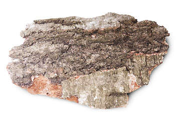 Image showing Piece Of Dried Bark Of Old Birch Tree