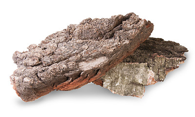 Image showing Pieces Of Dry Bark Of Birch And Oak