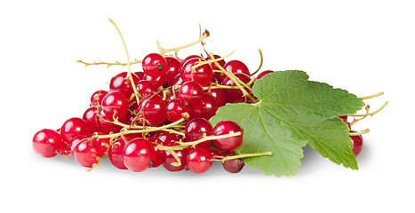 Image showing Bunch Of Red Currants With Currant Leaves Rotated