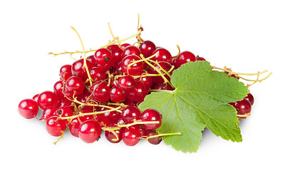 Image showing Bunch Of Red Currants With Currant Leaves