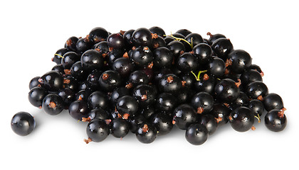 Image showing Fresh Black Currant Rotated