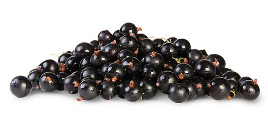 Image showing Fresh Black Currant