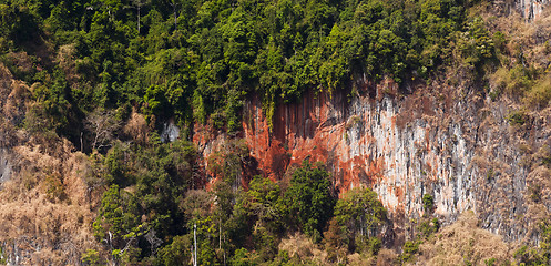 Image showing Trees and limestone rocks, Thailand