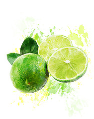 Image showing Watercolor Image Of  Fresh Limes