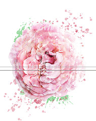 Image showing Watercolor Image Of Rose