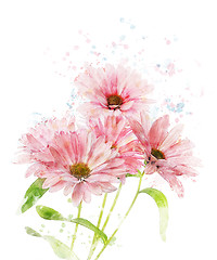 Image showing Watercolor Image Of Chrysanthemum