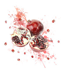 Image showing Watercolor Image Of Pomegranate