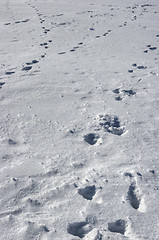 Image showing Footprints