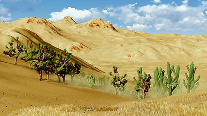 Image showing Joshua trees