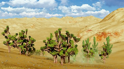 Image showing Joshua trees